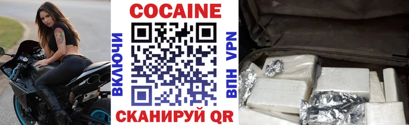 Купить закладки  Инсар  Cocaine FishScale 
