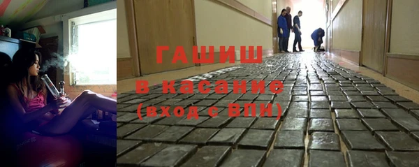 стаф Дмитровск