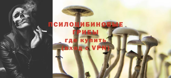 стаф Дмитровск