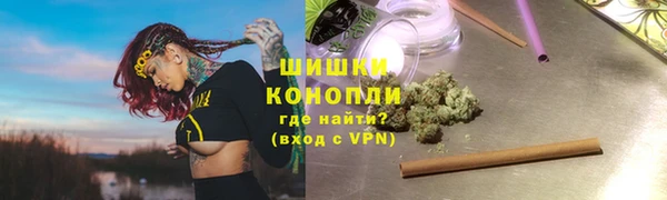стаф Дмитровск