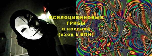 стаф Дмитровск