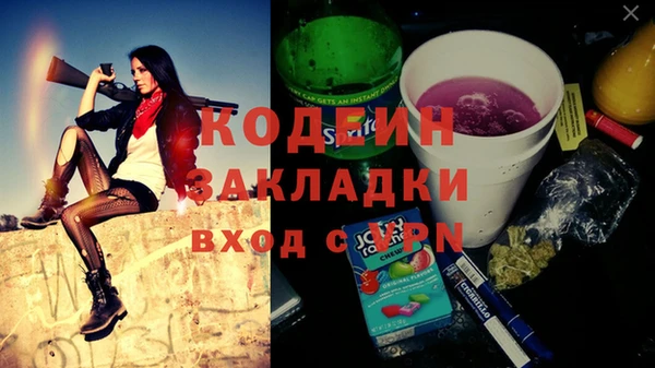 стаф Дмитровск