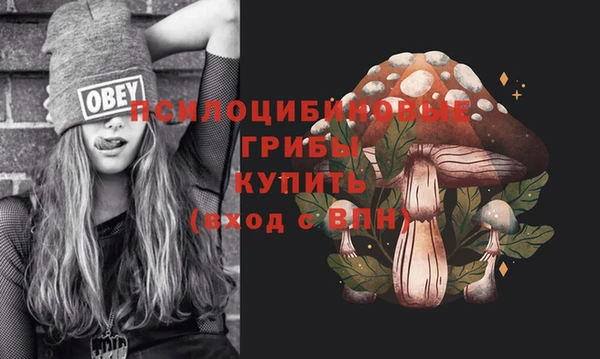 стаф Дмитровск