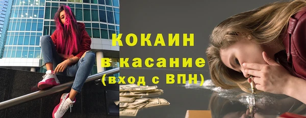 стаф Дмитровск