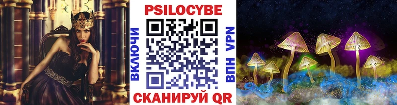 Галлюциногенные грибы мицелий  Купить где  Инсар 