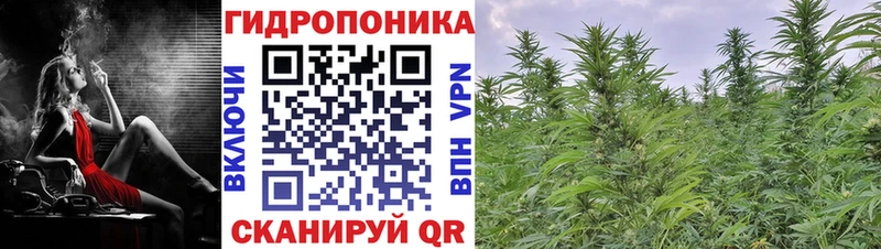 Бошки Шишки сатива  Купить где  Инсар 